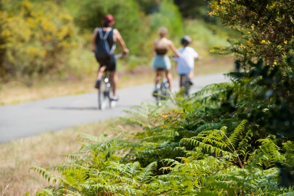 Évadez-vous en Vendée le temps d’un week-end prolongé
