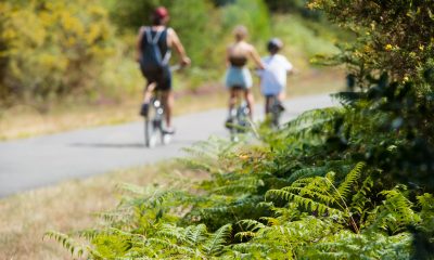 Évadez-vous en Vendée le temps d’un week-end prolongé