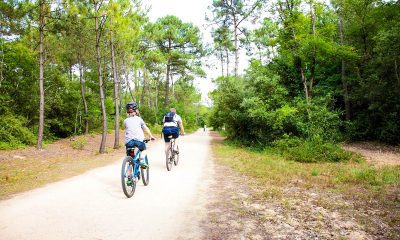 Que faire en Vendée ? Le guide complet pour réussir vos vacances